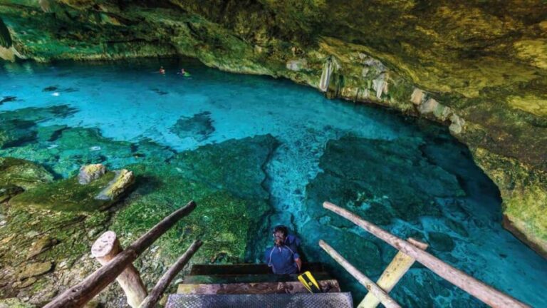 Tulum: Cenote Dos Ojos and Cenote Manati Tour - What to Expect During the Tour