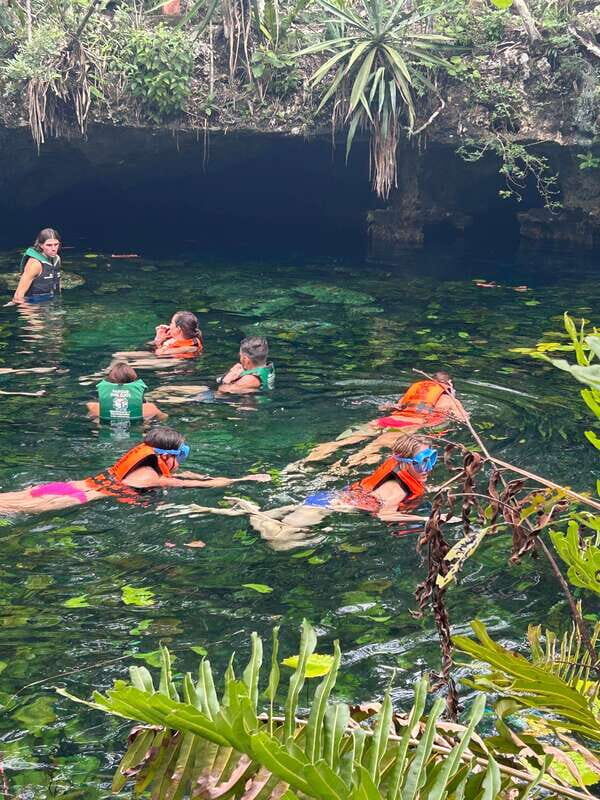 Tulum: Cenotes Tour with Snorkeling and Lunch - The Cultural and Culinary Experience