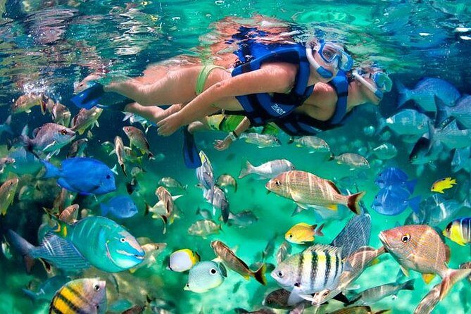 Tulum Coba Akumal Snorkel tour Premium Service Small Group - Deep Dive into the Details