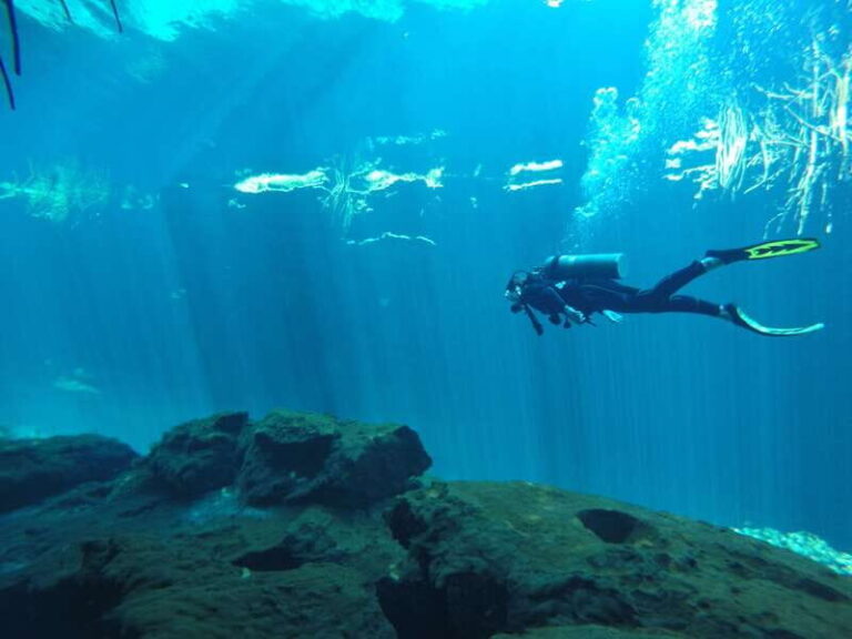 Tulum: Discover Scuba Diving in Cenotes - The Itinerary: What to Expect
