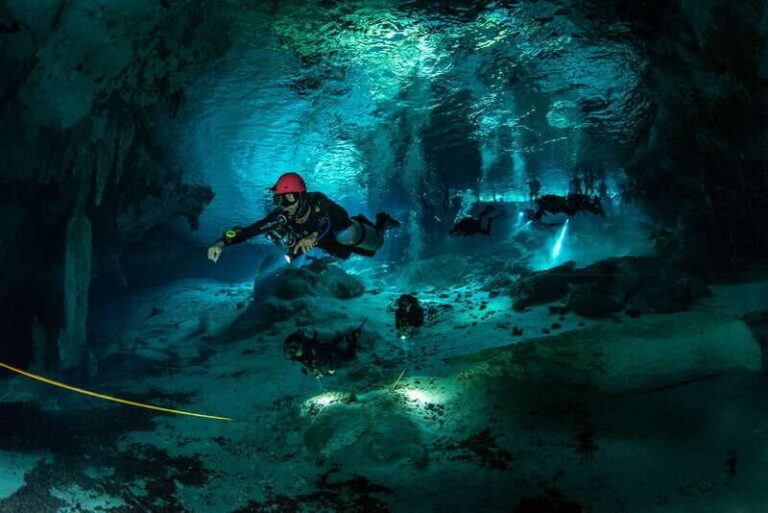 Tulum : Dos Ojos cenote 2 scuba dives (certified divers) - The Itinerary Breakdown