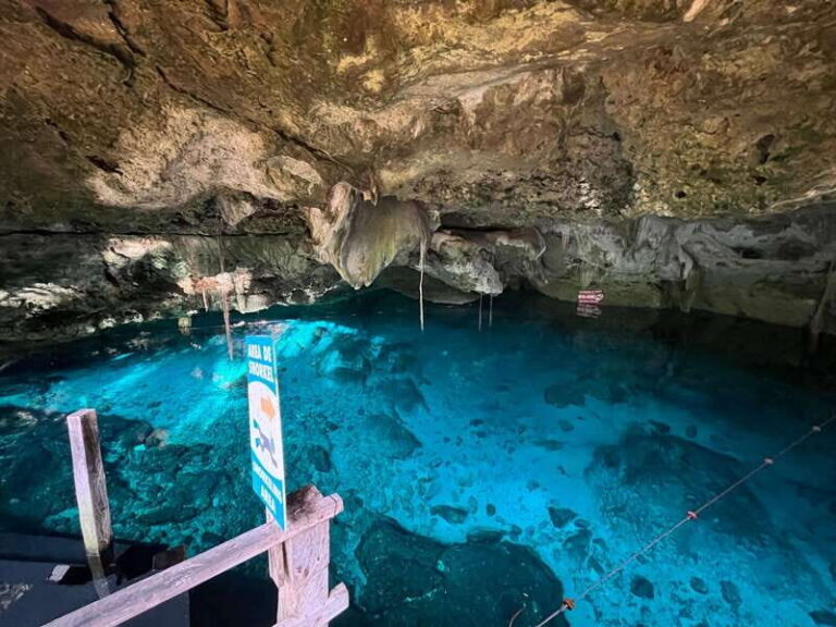 Tulum: Dos Ojos Cenote 2 Scuba Dives with Transfer Option - What Makes This Tour Stand Out?