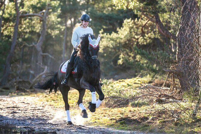 Tulum Jungle Horseback Ride + ATV + Ziplines + Cenote Combo Tour - Practical Tips for Travelers