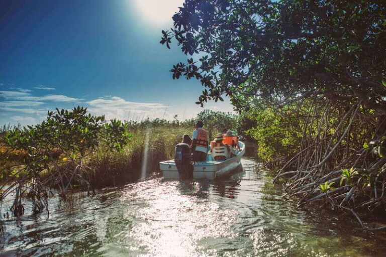 Tulum: Mayan Ruins & Sian Kaan Tour with Boat Ride and Lunch - What Makes This Tour Stand Out?