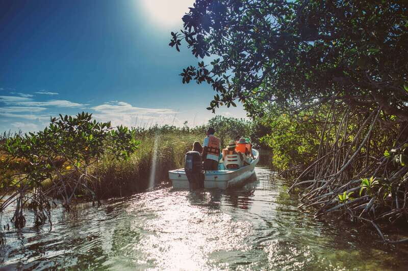 Tulum: Mayan Ruins & Sian Kaan Tour with Boat Ride and Lunch - What Makes This Tour Stand Out?