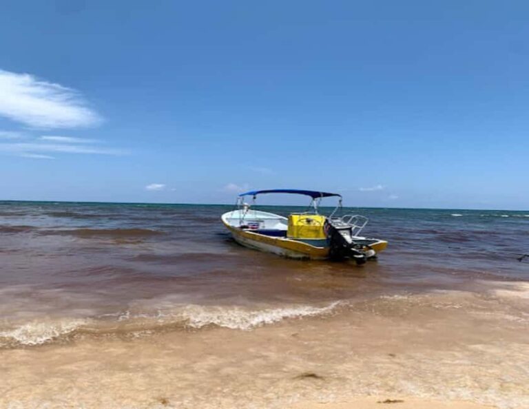 Tulum: Reef Snorkel Tour - The Itinerary Breakdown