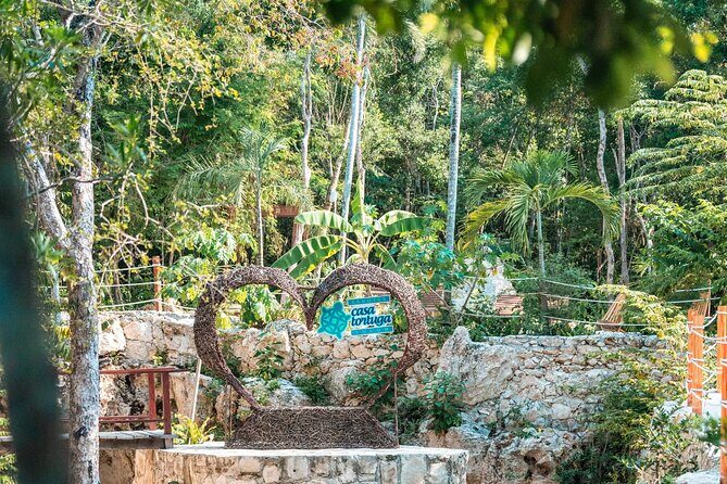 Tulum ruins and cenote tortugas in one day - What the Tour Includes and What to Consider