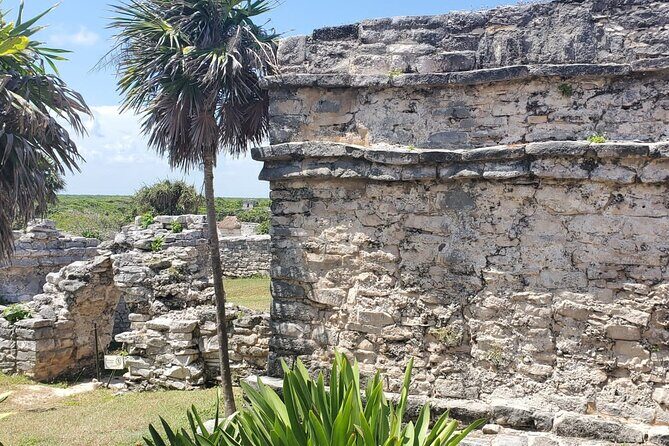 Tulum Ruins Scooter/ATV/E-Bike Tour, Snorkel/Swim/Paddle board Cenote + Lunch - The Experience in Detail: What You Can Expect