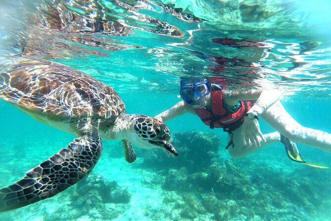 Tulum Ruins, Snorkeling with Turtles and Underground Caves - The Sum Up