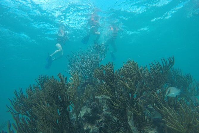 Tulum ruins swim with turtles in Akumal and Cenote - What’s Included, and What Costs Extra