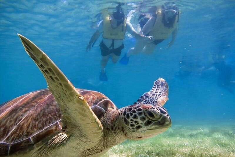 Tulum: Ruins, Turtles & Cenotes Adventure
