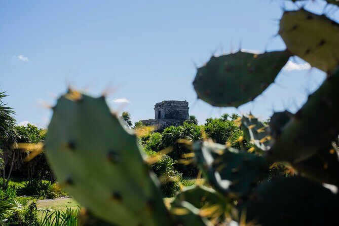 Tulum Ruins & Turtles Swim! Round Transportation From Cancun & Riviera Maya - Final Thoughts: Who Will Love This Tour?