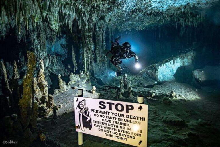 Tulum: Scuba Diving in the Mystical Cenotes - What Makes This Tour Stand Out