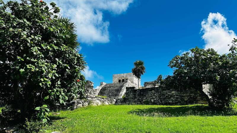 Tulum, Snorkeling & Cenote Adventure - Who Is This Tour Best For?