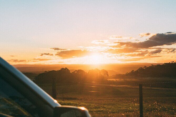 Tulum to Playa del Carmen - Private Transfer with Optional Sightseeing - Practical Tips for Booking and Enjoying Your Transfer