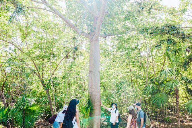 Tulum Unveiled In Expert Guided Tour for True History Enthusiasts - Who Will Love This Tour?