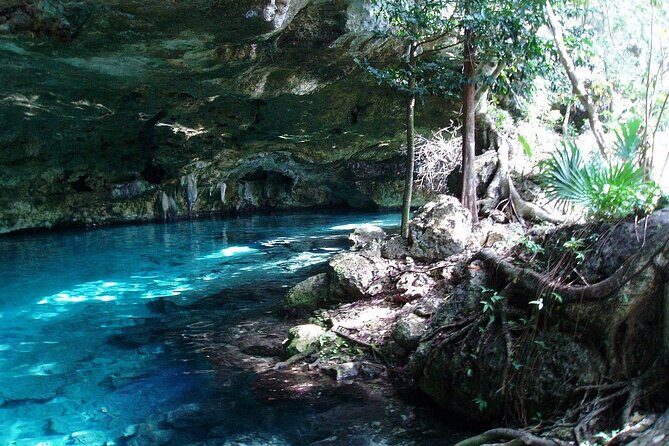 Tulum Wild Adventure Tour with ATV, Ziplining and Cenote - Authentic Experiences and Traveler Feedback
