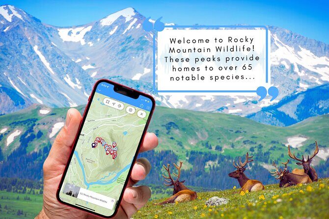 Tunnel Mountain Trail: a Smartphone Audio Nature Tour - What Is the Tunnel Mountain Trail Smartphone Audio Tour?