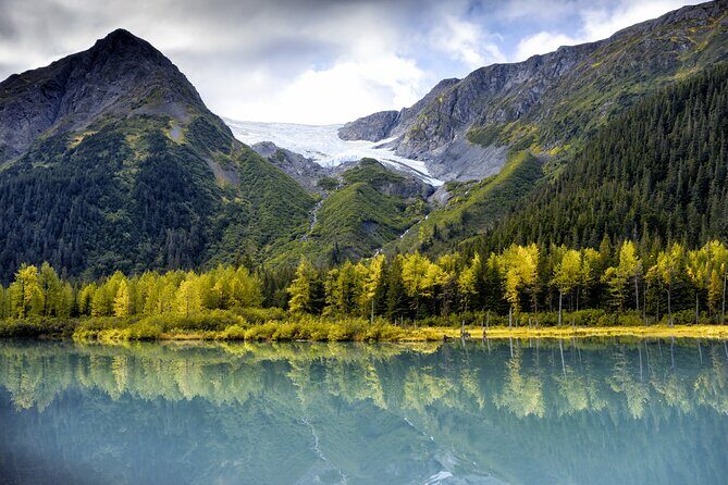 Turnagain Arm Sightseeing Experience and Wildlife Tour - What Does the Tour Include?