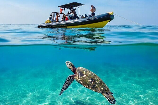 Turtle Canyon Snorkel Adventure - Small Group 6 Passengers - The Itinerary Breakdown