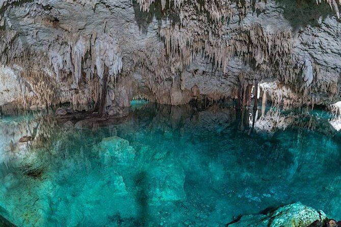 Turtle Encounter Private Tour  Swim with Sea Turtles & Cenote - Value for Money and Considerations
