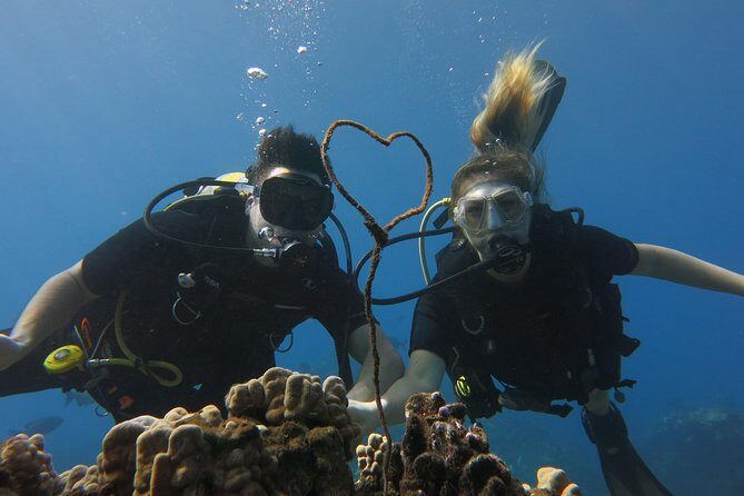 Turtle & Shark Scuba Dive in Lahaina: Certified - Detailed Breakdown of the Experience