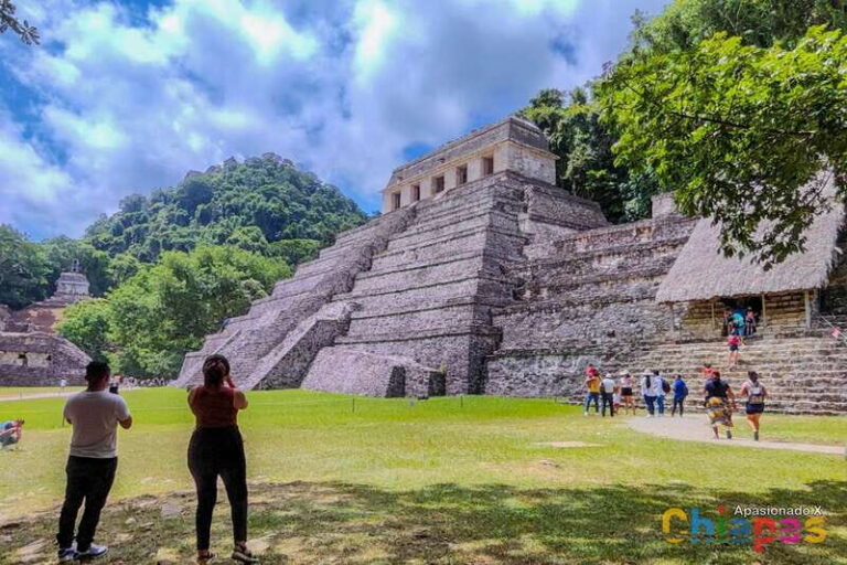 Tuxtla Gutierrez: Agua Azul, Misol Ha & Palenque Experience - Transportation and Logistics