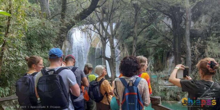 Tuxtla Gutierrez: Chiflon and Lakes of Montebello Tour - The Scenic Drive to Montebello Lakes