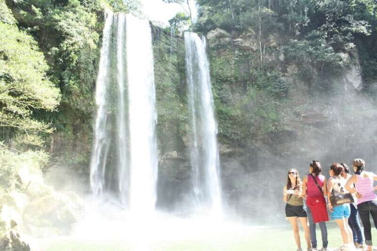 Tuxtla Gutierrez: Palenque Ruins Day Tour with Breakfast - Evaluating Value and Practicality