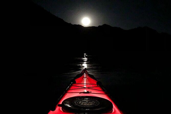 Twilight Black Canyon Kayak Tour with Bonfire Experience - Nighttime Paddling and Star Gazing