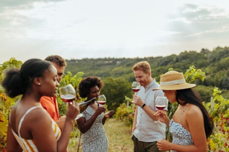 Twin Falls: Guided Half-Day Scenic Tour and Wine Tasting - Transportation, Group Size, and Pace