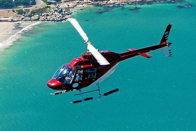 Two Oceans Scenic Helicopter flight Tour from Cape Town - The Value in the Details