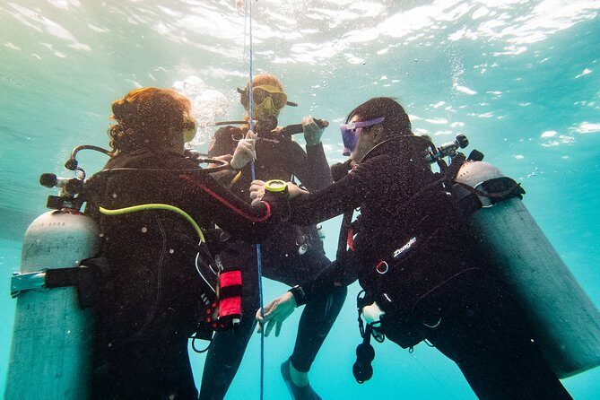 Two reef discovery dives with professional instructor (no experience necessary) - The Itinerary: Step-by-Step