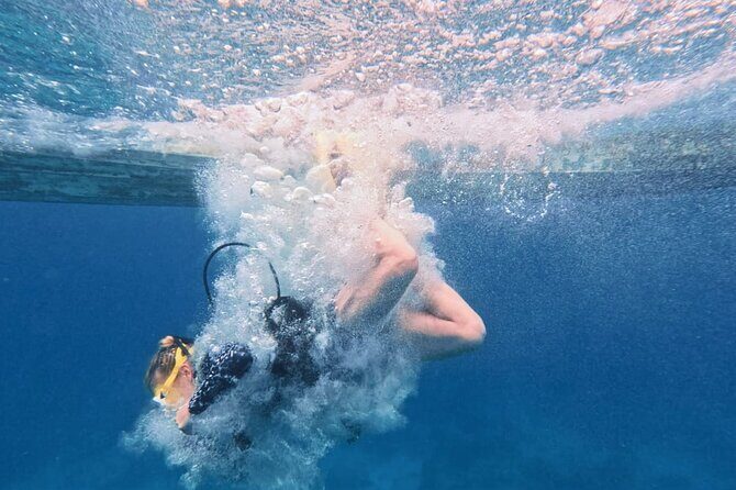 Two Reefs For Certified Divers in Cancun - The Sum Up