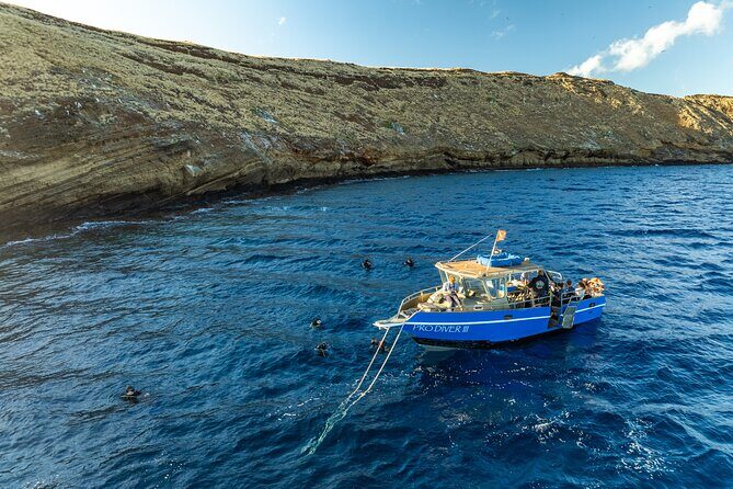 Two Site Snorkeling Adventure featuring the Molokini Crater - The Real Experience — Authentic Encounters and Staff