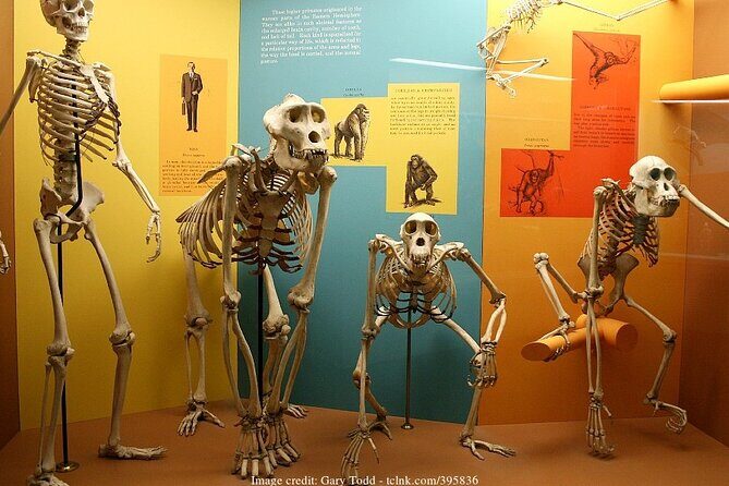 Two Smithsonian Museums Private Tour: American & Natural History - Why Choose This Tour?
