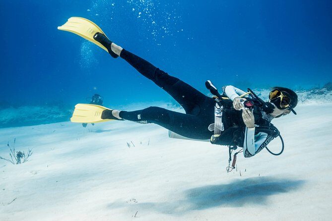 Two tanks local diving for certified divers, SCUBA gear included - Weather, Water Conditions, and Water Clarity