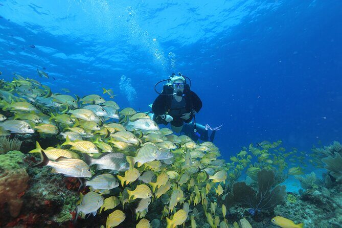 Two Tanks Scuba Diving for Beginners in Cancun - Detailed Breakdown of the Itinerary
