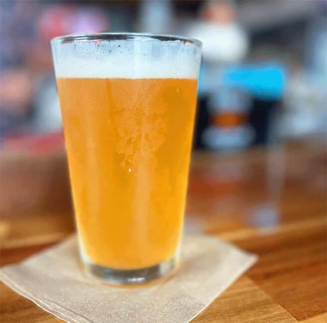 Tybee Island: Bikes, Bites, and Brews Tour - Who Will Love This Tour?