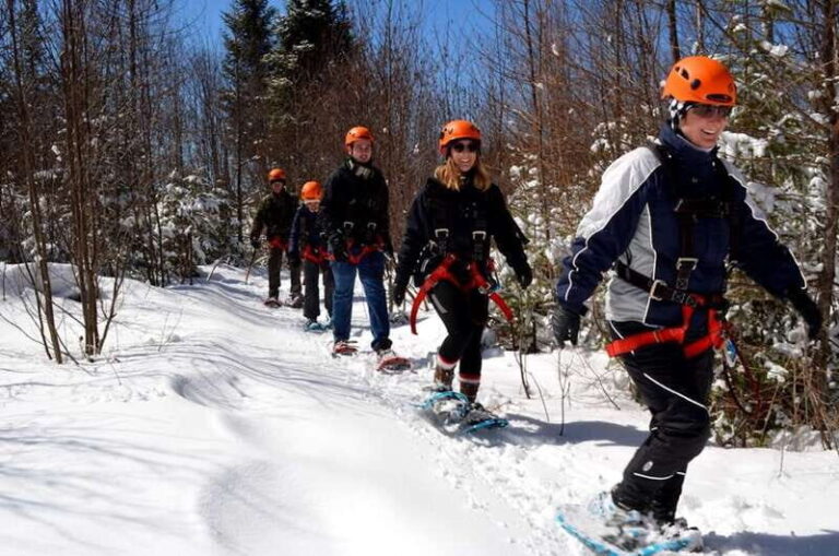 Tyroparc: Mega Ziplines and Hiking in the Laurentians - An Overview of the Experience