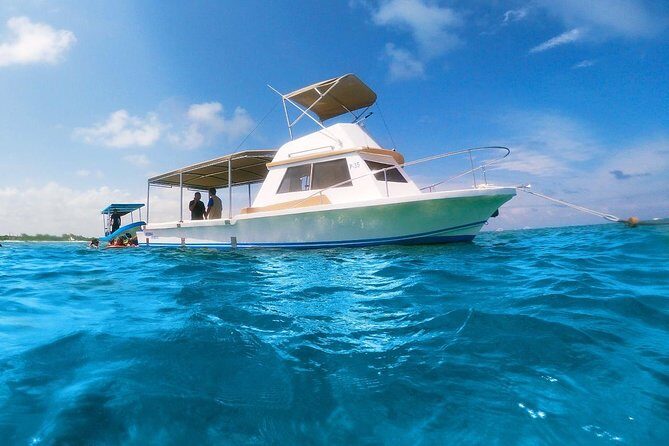 Ultimate 5x1 Combo with ATV, Ziplines, Cenote & Reef Snorkeling - Authentic Experiences and Traveler Feedback