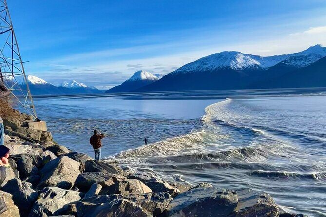 Ultimate Anchorage Summer Wildlife Tour - Transportation and Group Size