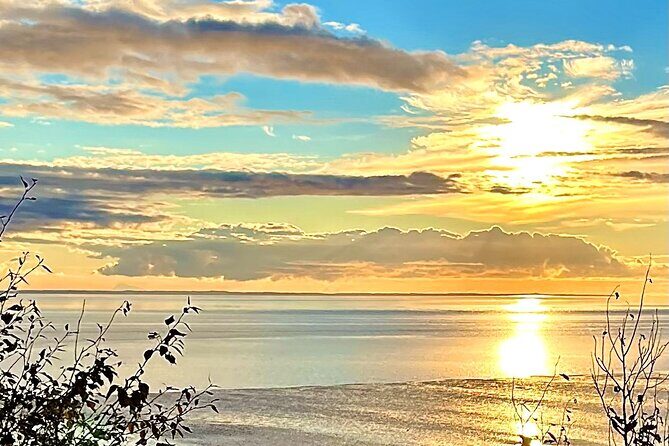 Ultimate Anchorage Winter Wildlife & Sunset Tour - Why This Tour Stands Out