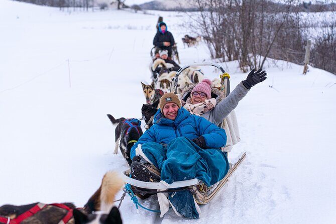 Ultimate Dog Sledding Tour - Day trip from Ottawa & Gatineau - Starting Out: Pickup and Transportation