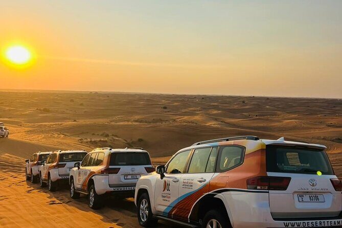 Ultimate Evening Desert Safari with Quad Biking & VIP Service - Who Should Book This Tour?