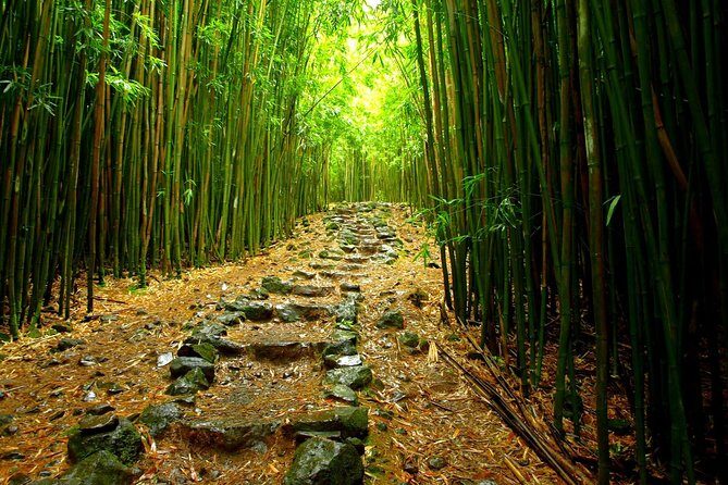 Ultimate Hana Full-Day Adventure Tour - The Hike Through Maui’s Untouched Wilderness