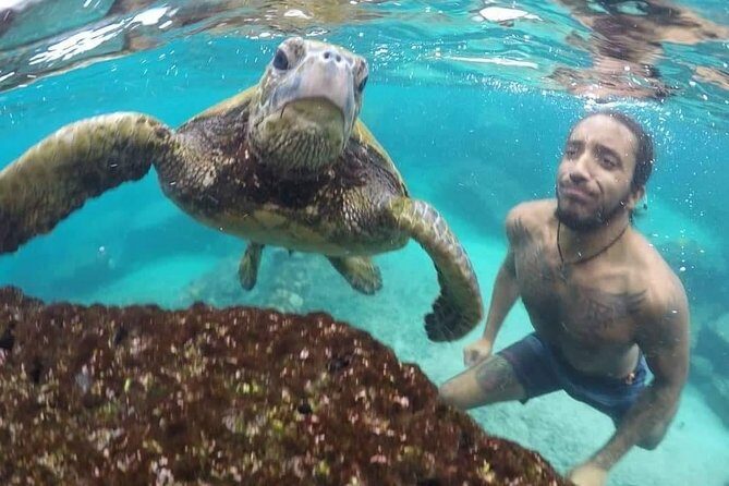 Ultimate Ocean Encounters Midday Snorkel - Overall Value and What It Means for Travelers