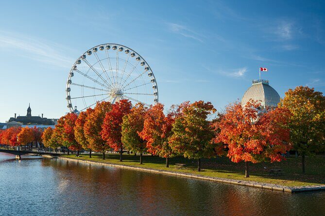 Ultimate Private Montréal City Tour: Culture, Views, Local Flavor - Who Should Consider This Tour?