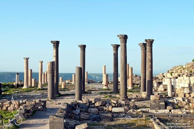 UM Qais, Pella, Ajloun, Jerash Private Day Tour - Who Will Find This Tour Most Valuable?