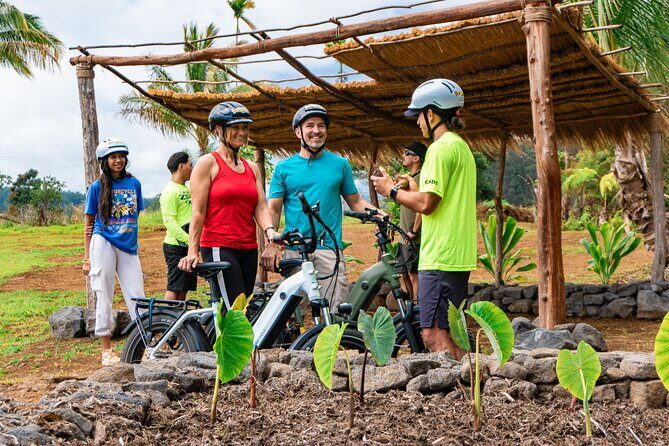 Umauma Falls eBike Tour in Hakalau - Final Thoughts: Who Will Love This Experience?